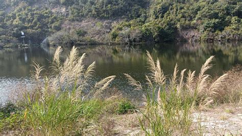 圓墩古村|深井行山路線︱圓墩郊遊徑賞水塘風光 探秘深山古村了解客家文化